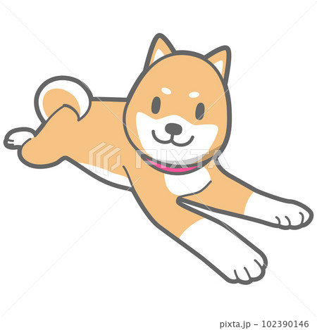 伏せをする柴犬のベクターイラスト 102390146