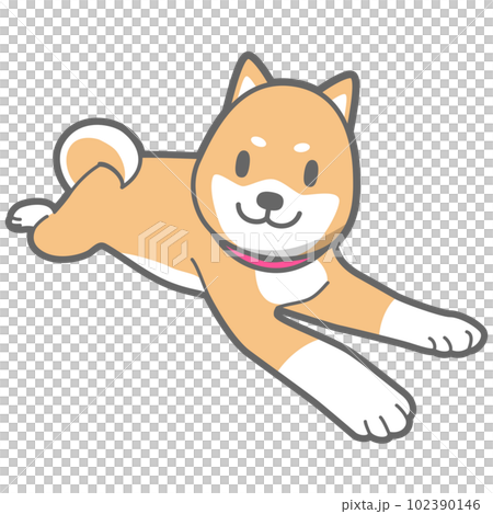 伏せをする柴犬のベクターイラスト 102390146