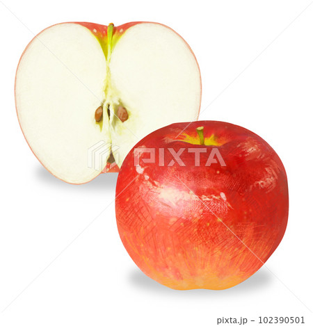 リアルタッチのりんごのイラスト 102390501
