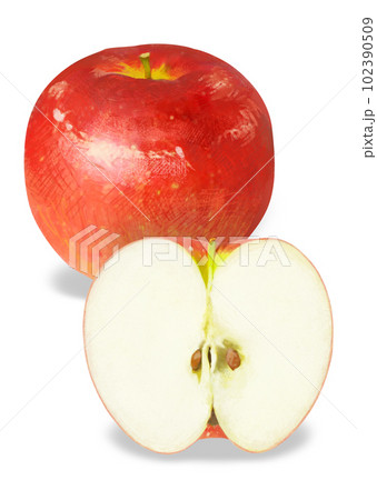 リアルタッチのりんごのイラスト 102390509