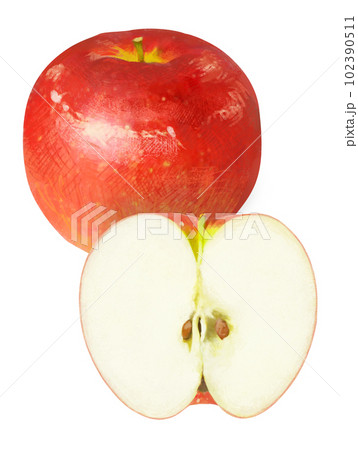 リアルタッチのりんごのイラスト リアルタッチのりんごのイラスト 102390511