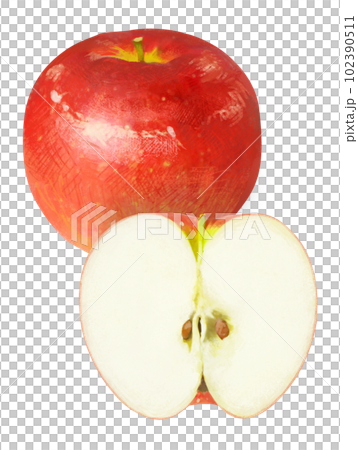 リアルタッチのりんごのイラスト リアルタッチのりんごのイラスト 102390511