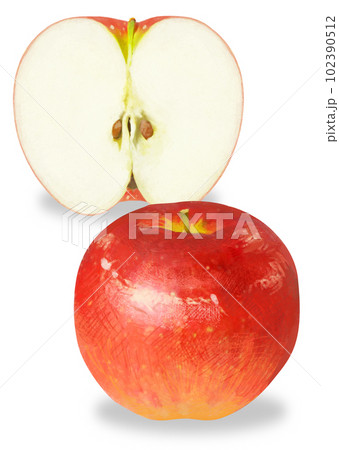 リアルタッチのりんごのイラスト リアルタッチのりんごのイラスト 102390512