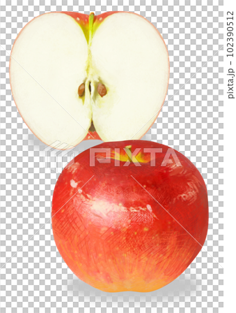 リアルタッチのりんごのイラスト リアルタッチのりんごのイラスト 102390512