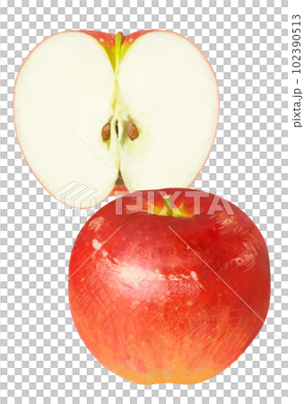 真實觸摸蘋果插畫 真實觸摸蘋果插畫 102390513