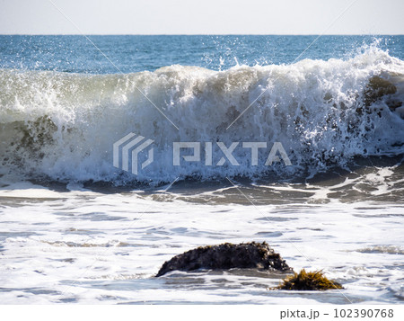 恋路ヶ浜(愛知県田原市内)の波打ち際に打ち寄せる波。 102390768