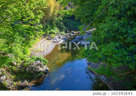 槻川　谷川橋からの眺め　嵐山渓谷付近　新緑の風景　 102391643