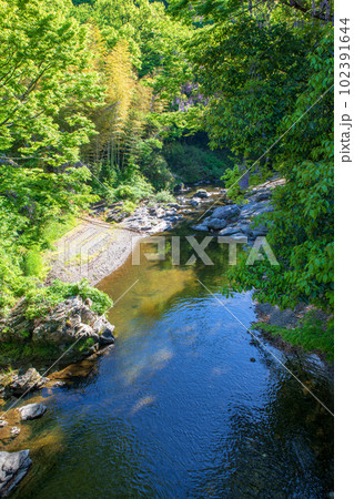 槻川　谷川橋からの眺め　嵐山渓谷付近　新緑の風景　 102391644