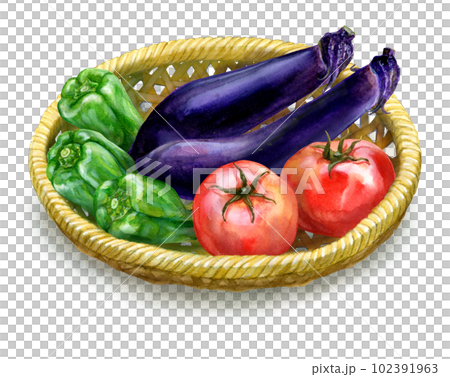 Assortment of tomatoes, peppers and eggplants 102391963