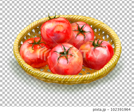 竹漏勺中的新鮮西紅柿 102391964