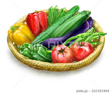 各種夏野菜の盛り合わせ 102391968