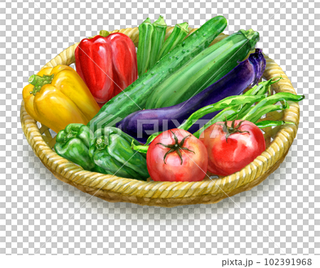 各種夏野菜の盛り合わせ 102391968
