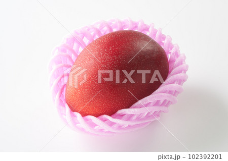 マンゴー（アーウィン種）白背景で 102392201