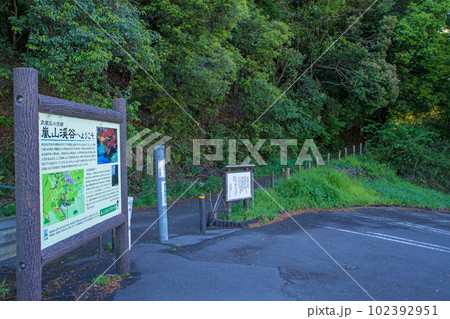 嵐山渓谷　槻川　遊歩道入口付近の眺め　新緑の風景　 102392951