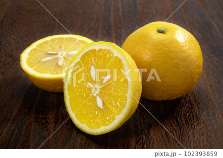 日本の柑橘類フルーツの日向夏 日本の柑橘類フルーツの日向夏 102393859