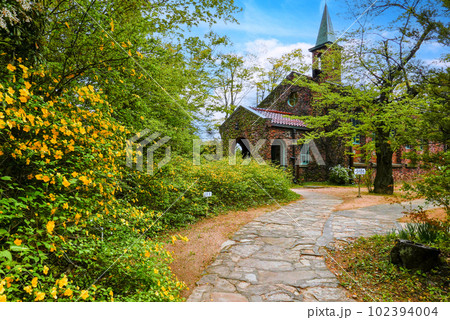 碌山館のアプローチと山吹 102394004