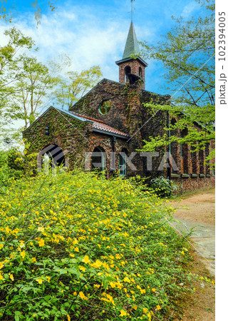 碌山館のアプローチと山吹（縦） 102394005