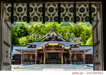 新潟 彌彦神社　～随神門越しの拝殿～ 102394362