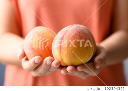 Ripe Peaches fruit holding by woman hand Ripe Peaches fruit holding by woman hand 102394393