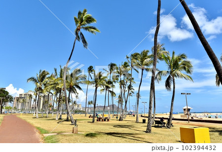 ハワイの休日 102394432