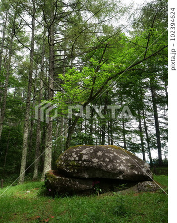 鳴石　雨境峠祭祀遺跡群　立科町 102394624