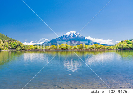 （山梨県）春の精進湖の湖畔から望む富士山 102394769