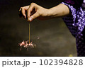 花火　夏の風物詩 102394828