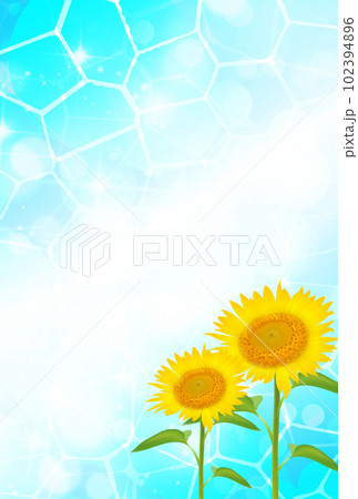 暑中見舞い　ひまわり　夏　背景	 102394896