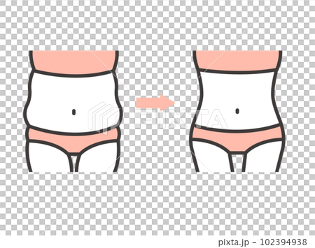 ダイエットに成功した女性のくびれのベクターイラスト素材／美容／ボディケア 102394938