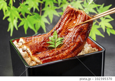 うな重　うなぎ料理 102395370