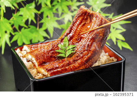 うな重 うなぎ料理 うな重 うなぎ料理 102395371