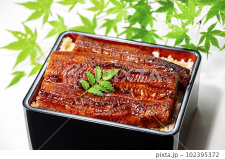 うな重　うなぎ料理 102395372