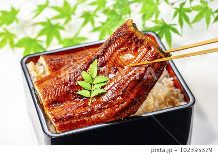 うな重 うなぎ料理 うな重 うなぎ料理 102395379