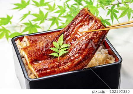 うな重 うなぎ料理 うな重 うなぎ料理 102395380