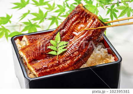 うな重 うなぎ料理 うな重 うなぎ料理 102395381