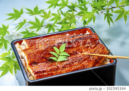 うな重 うなぎ料理 うな重 うなぎ料理 102395384