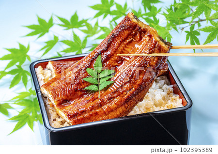 うな重　うなぎ料理 102395389