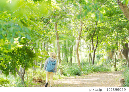 新緑の中でハイキングするシニア女性の写真 新緑の中でハイキングするシニア女性の写真 102396029