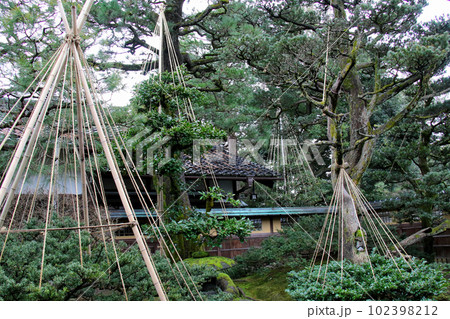金沢　兼六園　成巽閣　庭園 102398212