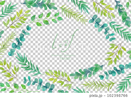 緑の葉っぱの水彩画イラスト フレーム 102398766