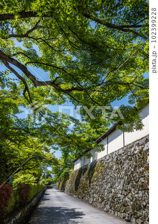 大津市坂本の風景 石畳の道を覆う新緑の木々 大津市坂本の風景 石畳の道を覆う新緑の木々 102399228