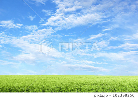 爽やかな青空と新緑が美しい草原 102399250