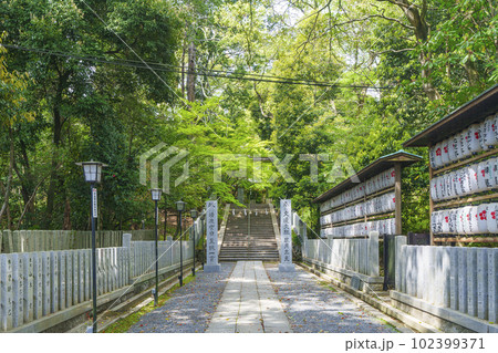 長岡天満宮 二の鳥居跡 新緑に包まれた参道(京都府長岡京市) 長岡天満宮 二の鳥居跡 新緑に包まれた参道(京都府長岡京市) 102399371