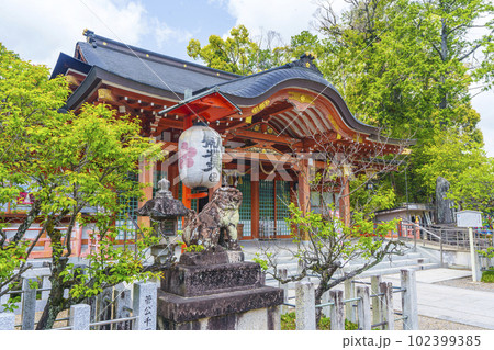 長岡天満宮 新緑に包まれた社殿(京都府長岡京市) 長岡天満宮 新緑に包まれた社殿(京都府長岡京市) 102399385