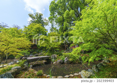 長岡天満宮　新緑に包まれた錦景苑（京都府長岡京市） 102399403