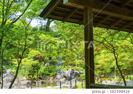 長岡天満宮　新緑に包まれた錦景苑　四阿（京都府長岡京市） 102399416