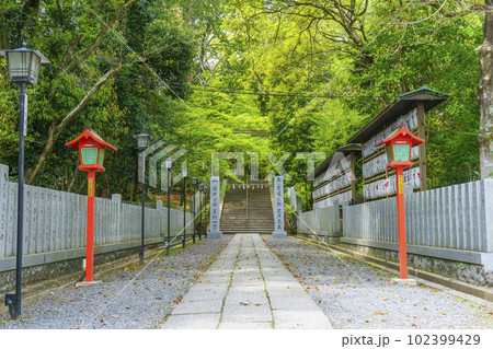 長岡天満宮 二の鳥居跡 新緑に包まれた参道(京都府長岡京市) 長岡天満宮 二の鳥居跡 新緑に包まれた参道(京都府長岡京市) 102399429
