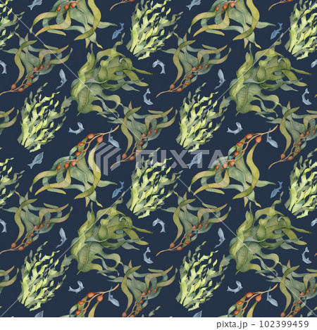 Seamless pattern of colorful sea plants watercolor illustration isolated on black. Laminaria, kelp, herb seaweeds hand drawn. Design for background, textile, packaging, wrapping, marine collection 102399459