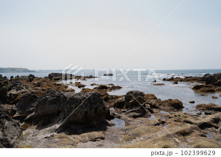 春の長浜海岸 春の長浜海岸 102399629