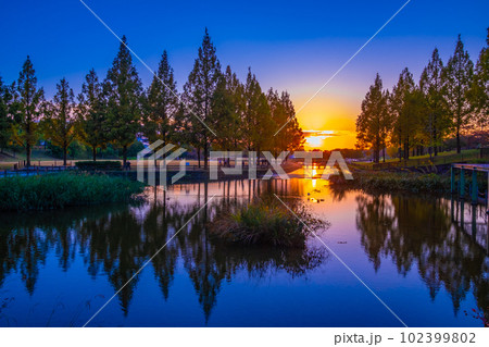 打上川治水緑地の夕陽 102399802